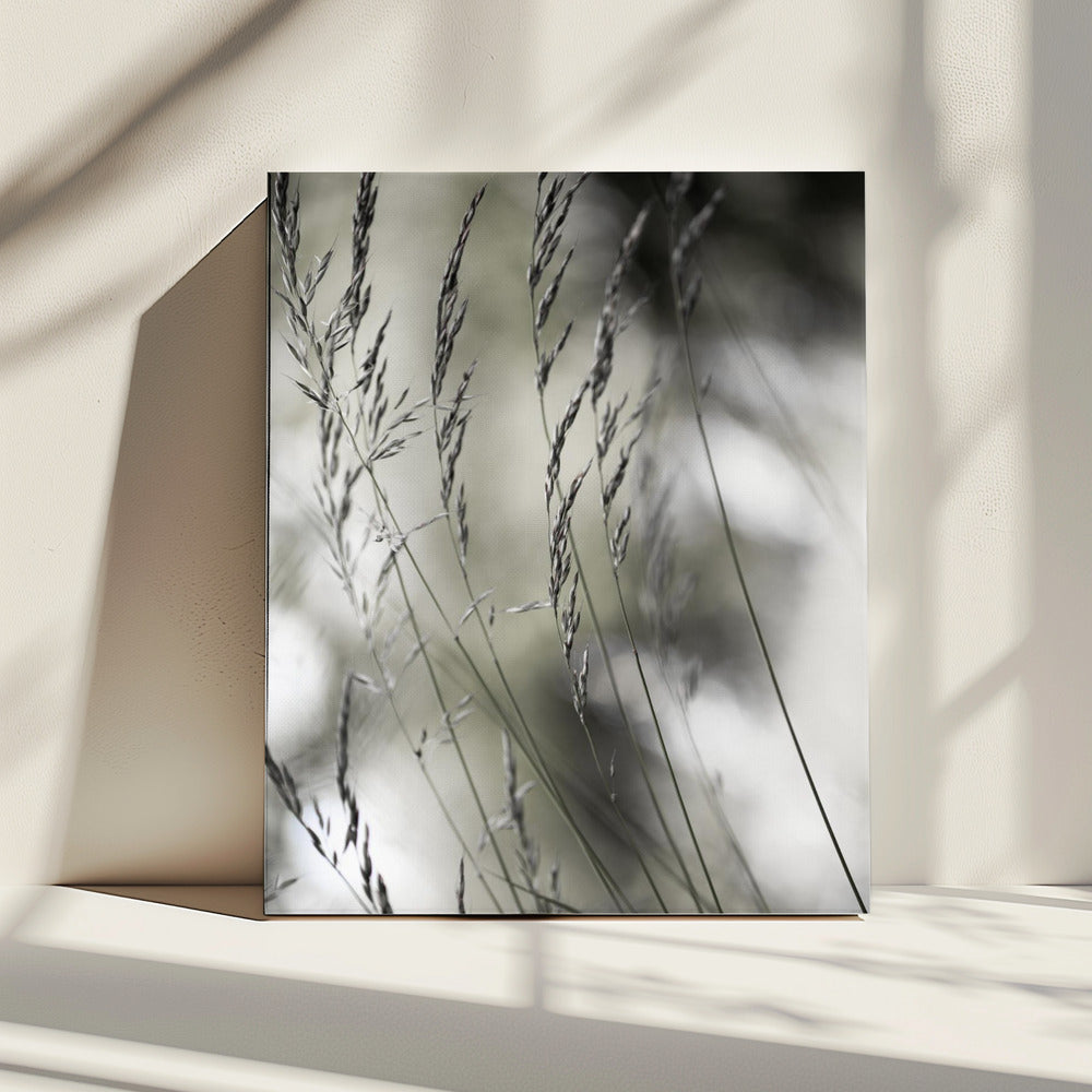 Zomergras 1 | Canvas