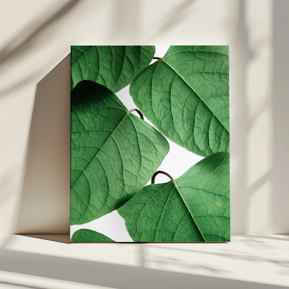 Zomertakken | Canvas