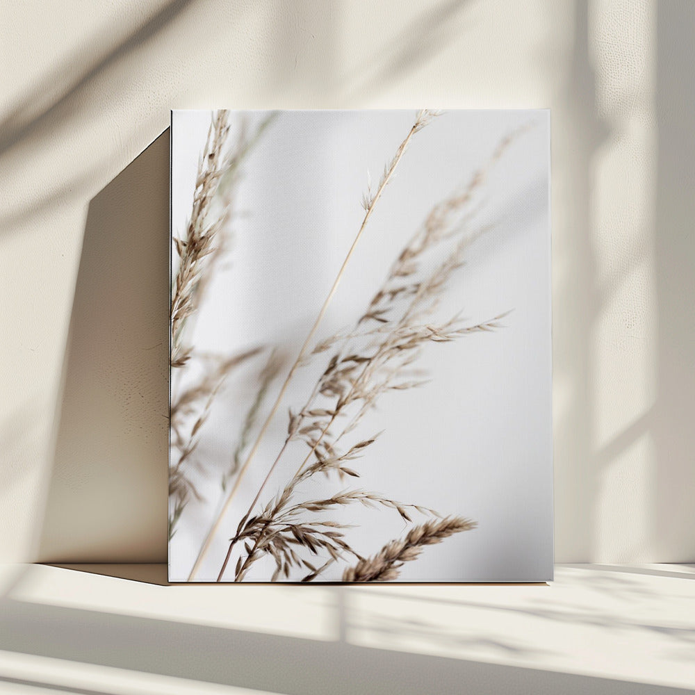 Zomergras 2 | Canvas