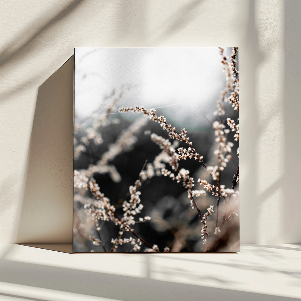 Onbekend 10 | Canvas