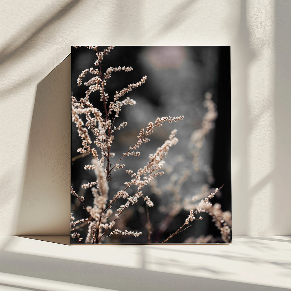 Onbekend 9 | Canvas
