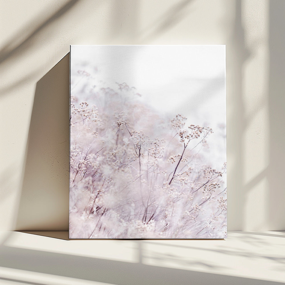 Onbekend 13 | Canvas