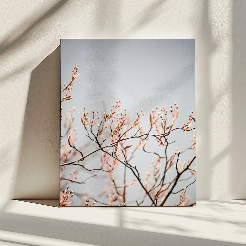 Onbekend 11 | Canvas