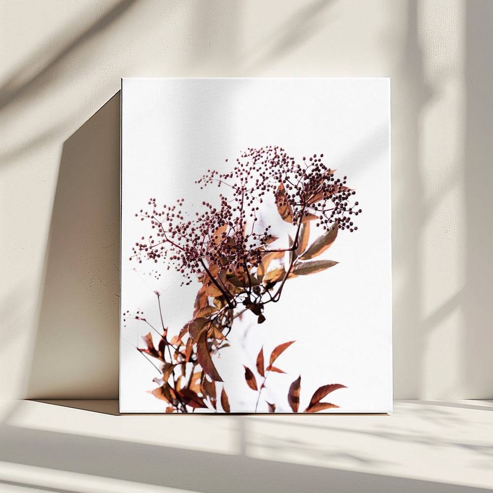Onbekend 14 | Canvas