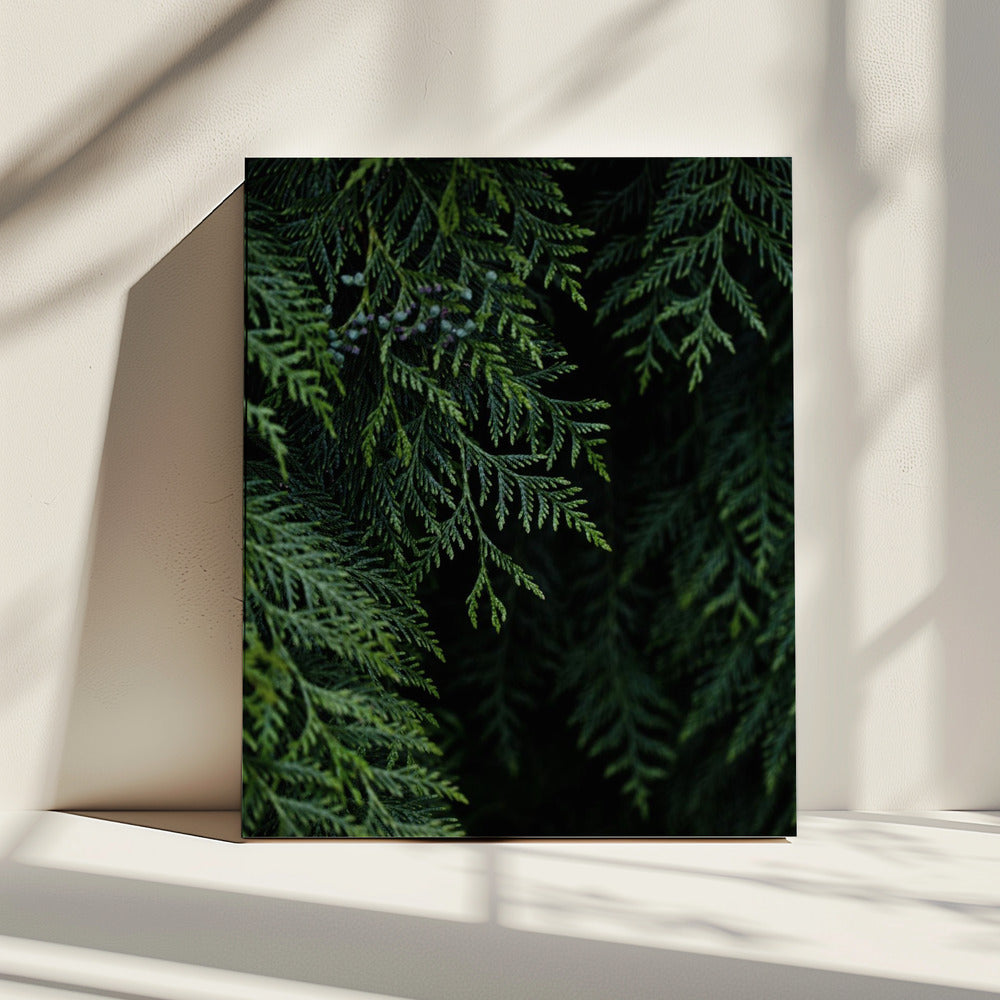 Wintertakken 3 | Canvas