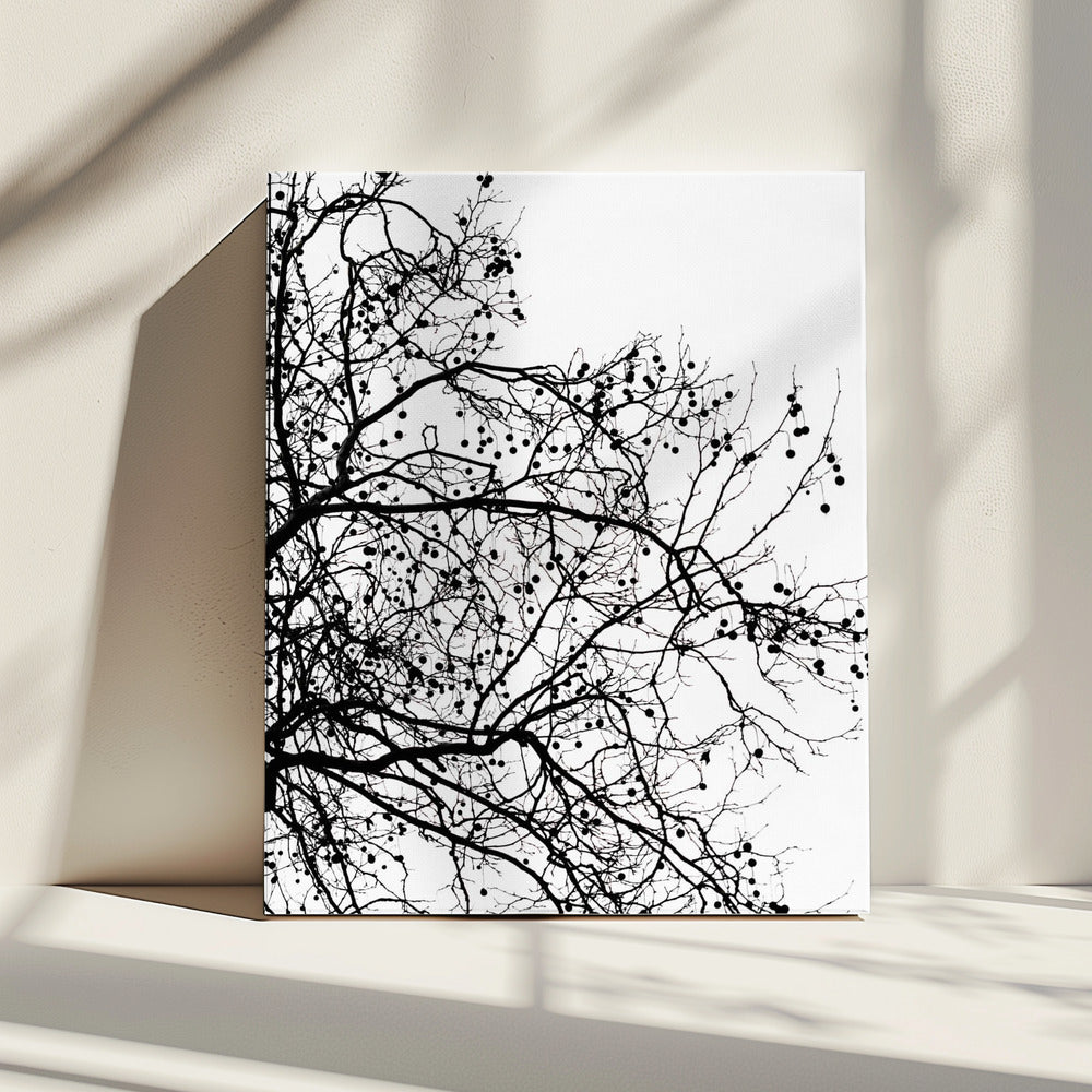 Wintersilhouetten 5 | Canvas