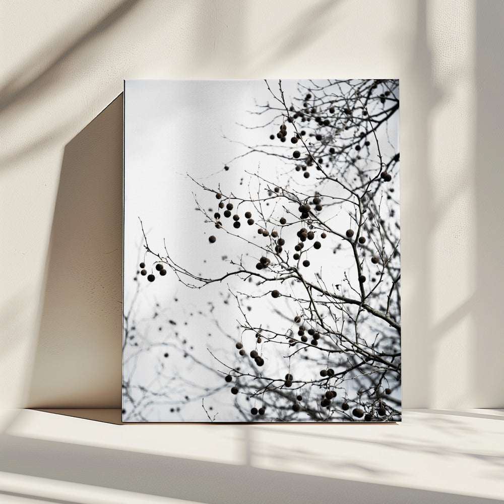 Wintersilhouetten 6 | Canvas