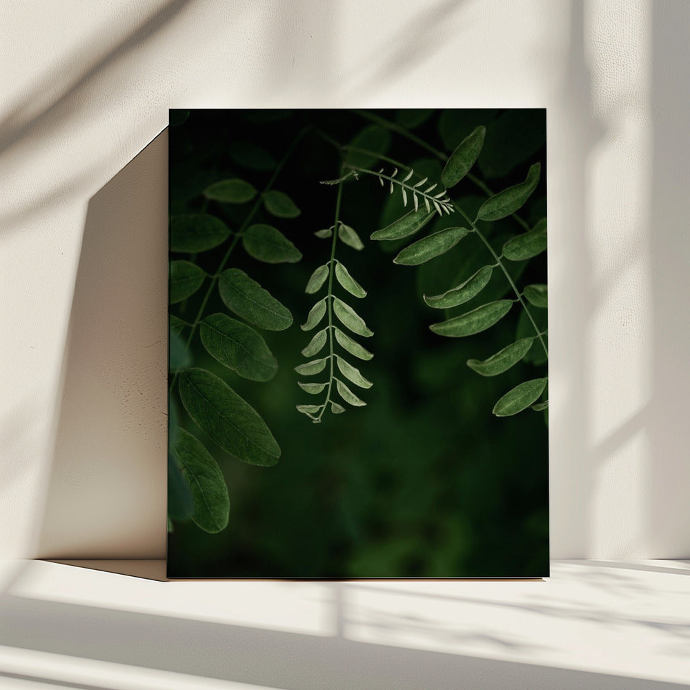 Donkere bladeren 17 | Canvas