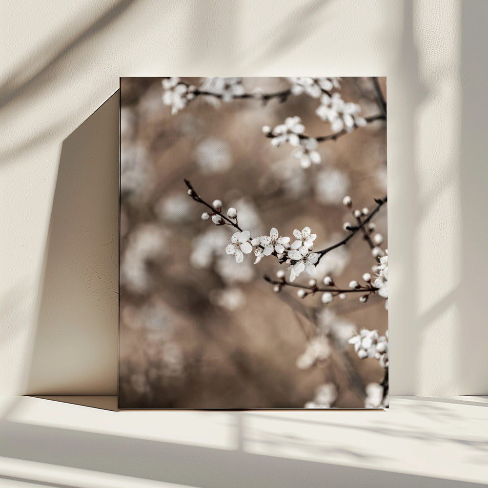 Laatste Lente 1 | Canvas