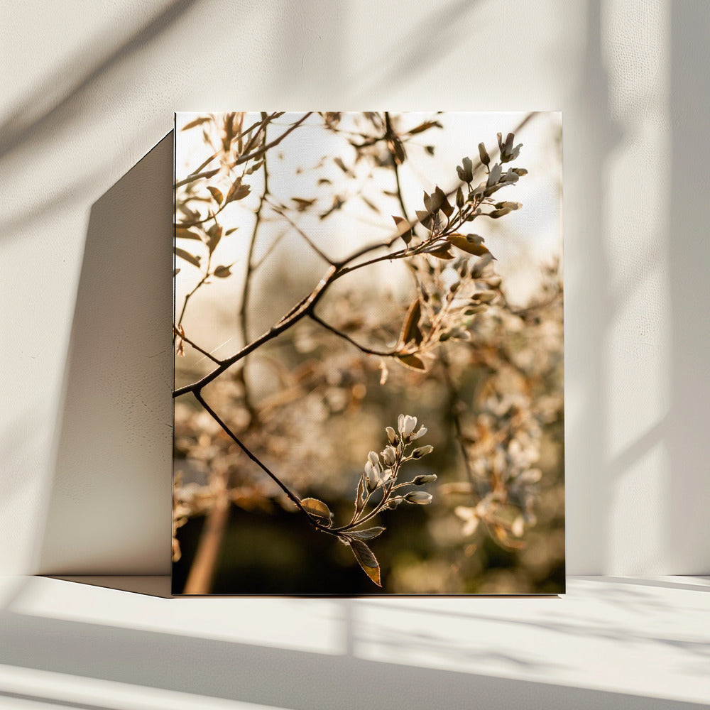 Laatste Lente 4 | Canvas