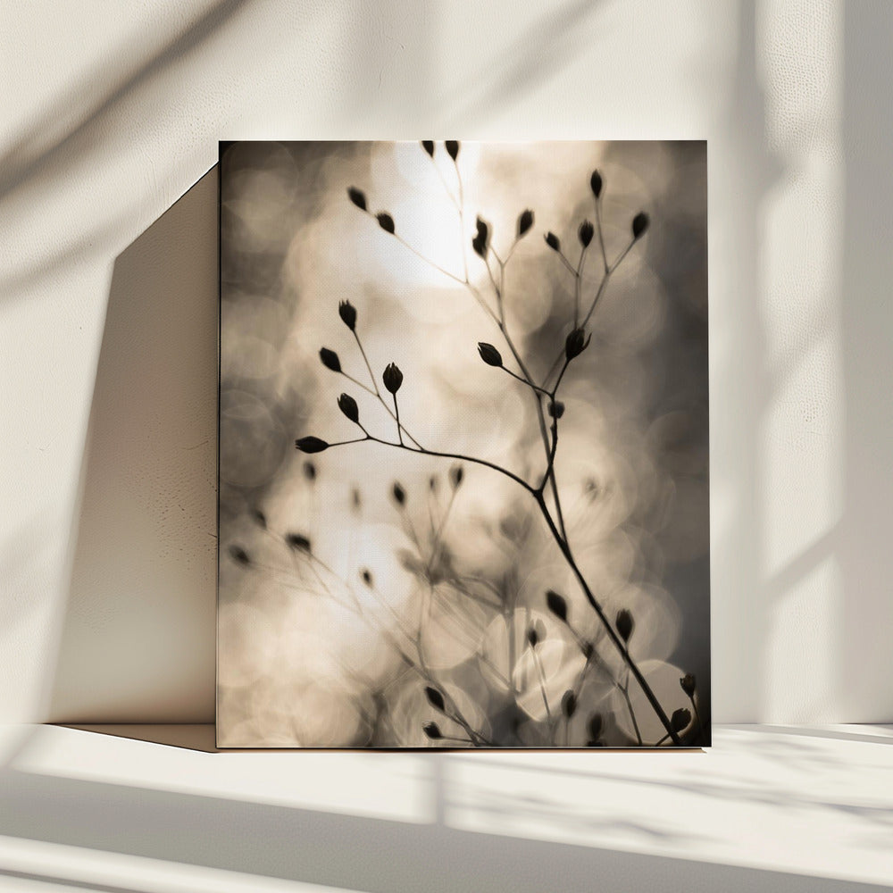Zonnesilhouetten 1 | Canvas