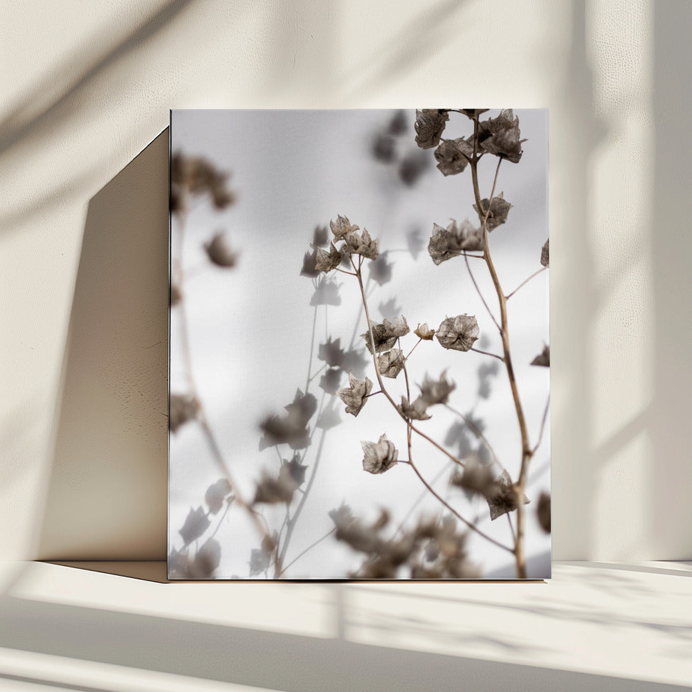 Afgelopen zomer 31 | Canvas