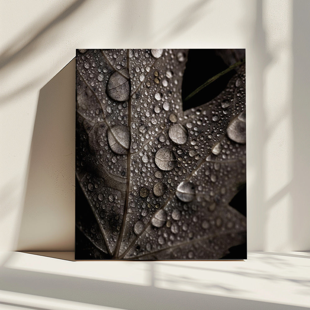 Regenachtige herfst | Canvas