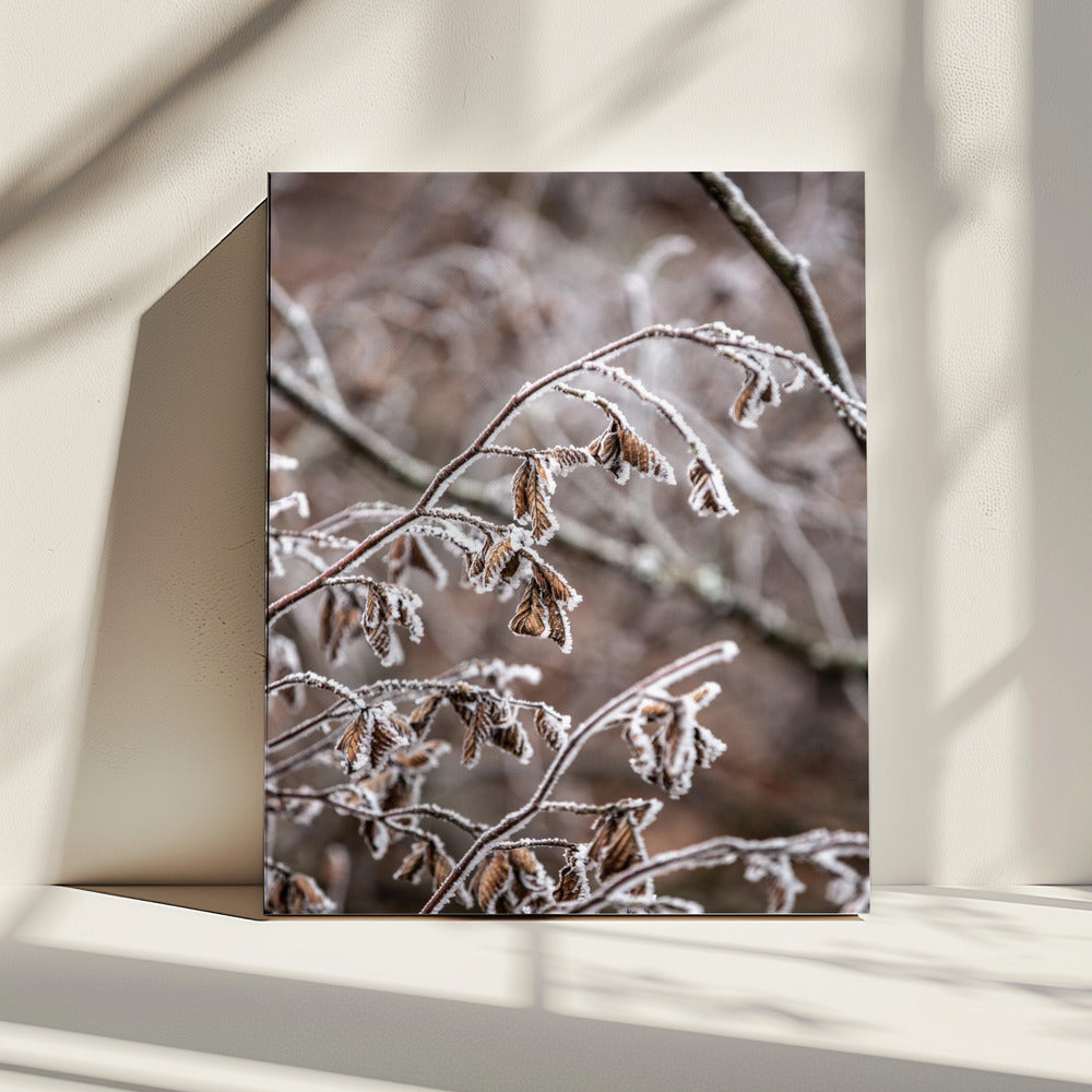 Wintertakken 18 | Canvas