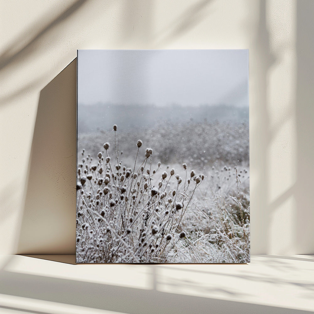 Winterveld 4 | Canvas