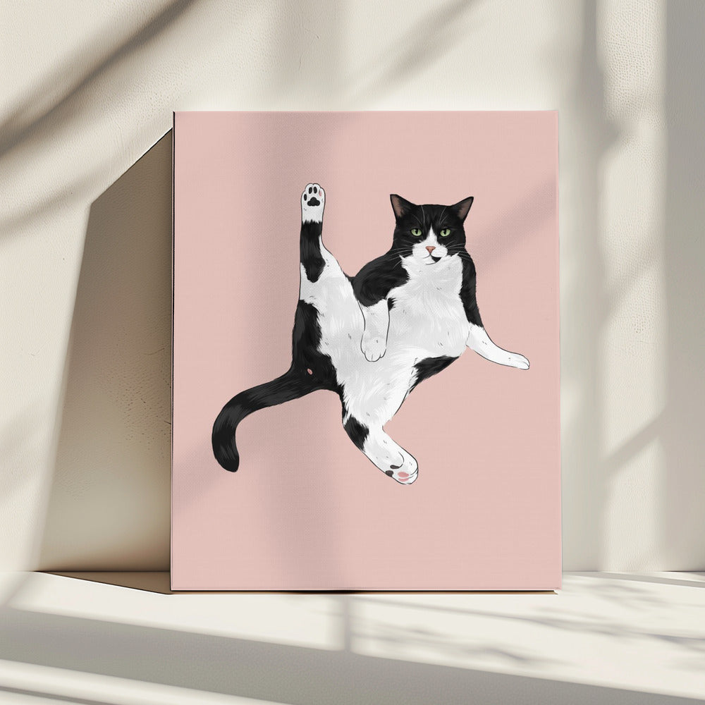 Kat in een grappige pose | Canvas