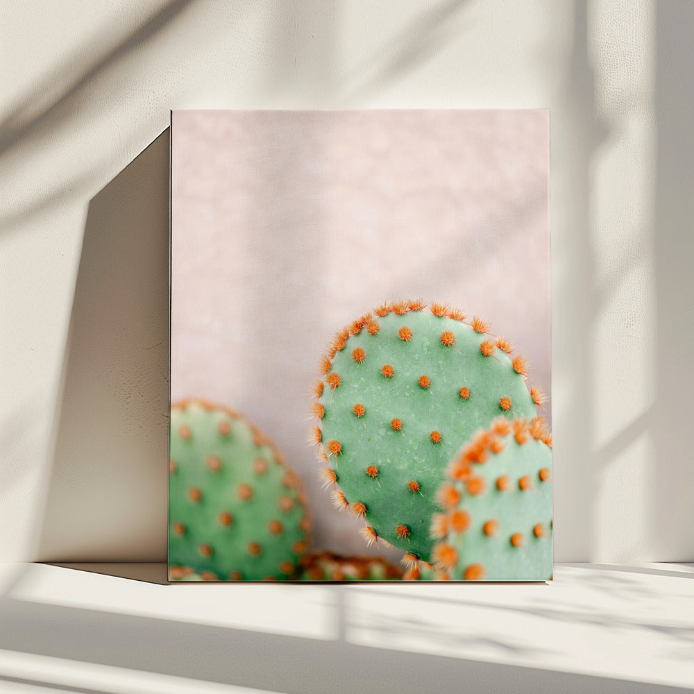 Cactussen Pasteltinten | Canvas