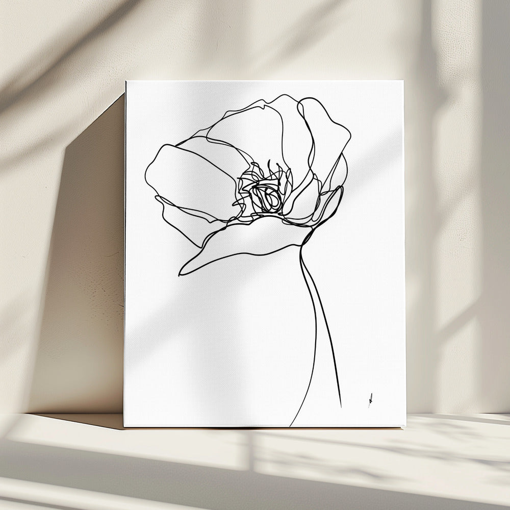 Klaproos op één lijn | Canvas