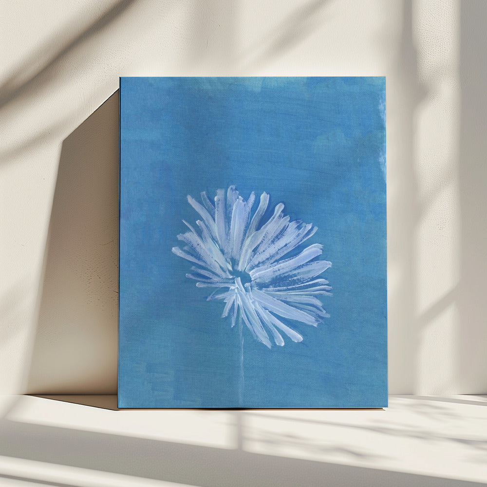 Witte bloem op blauwe achtergrond | Canvas