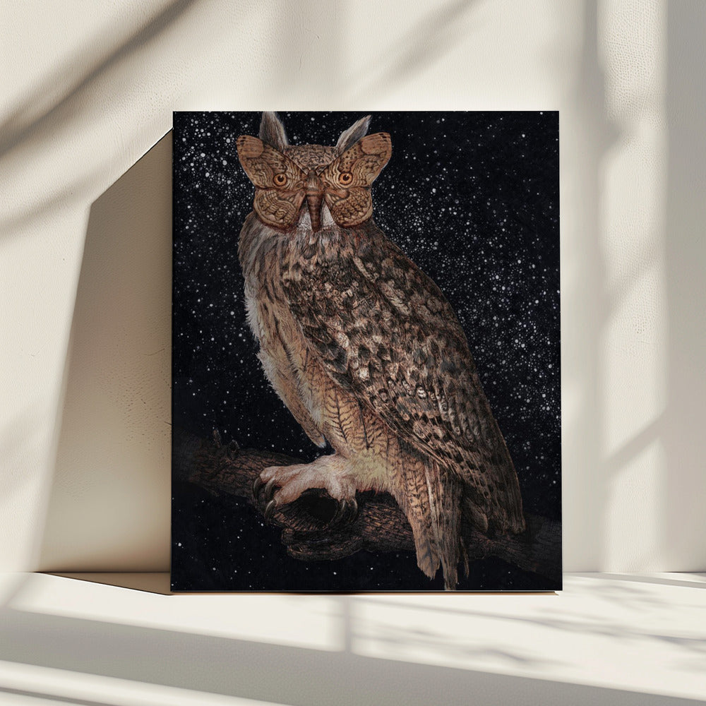 Camouflage en sterrenkleur | Canvas