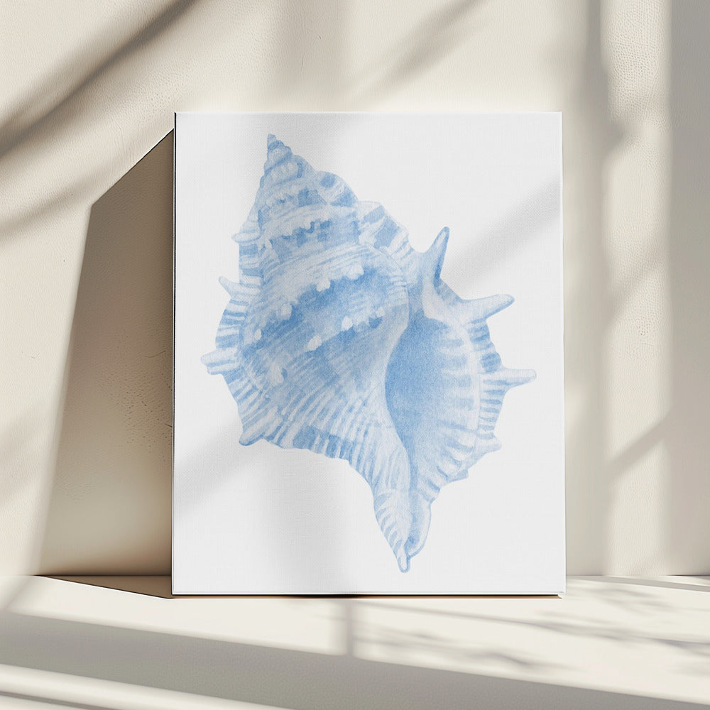 Eén blauwe schelp | Canvas