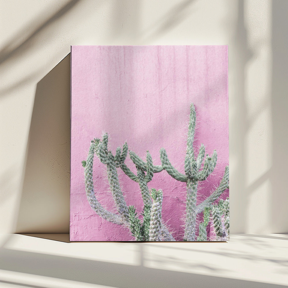 Cactus op roze | Canvas