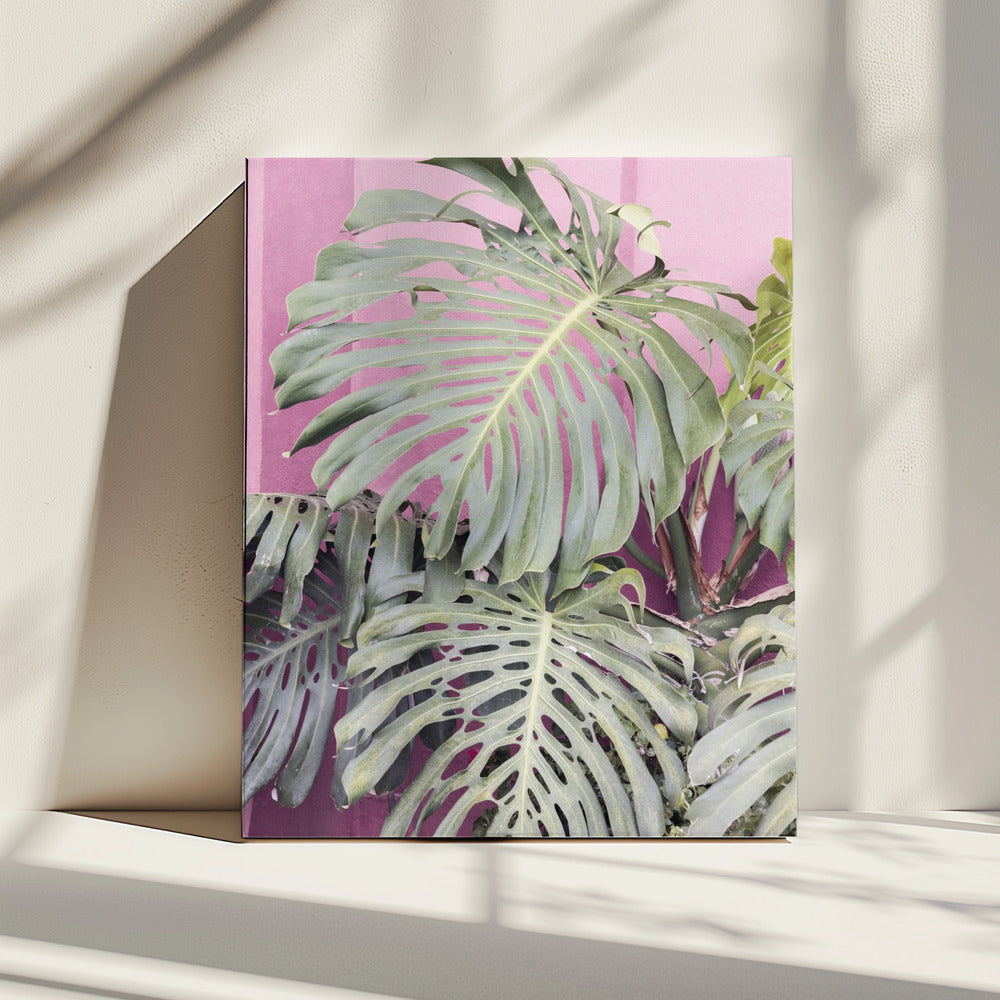 Monsterablad La Muralla | Canvas