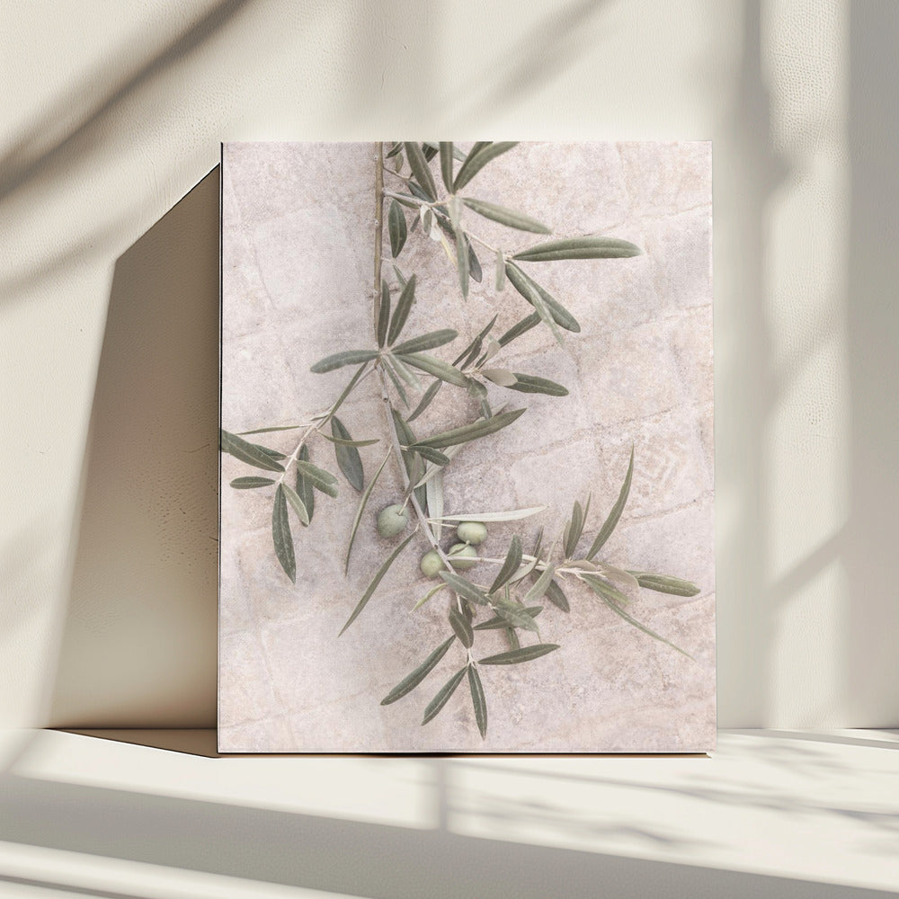 Spaanse tegels | Canvas