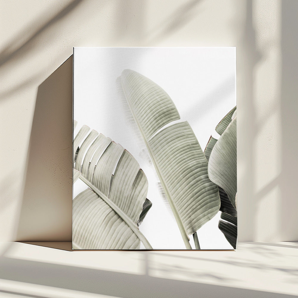 Bananenblad 1 | Canvas
