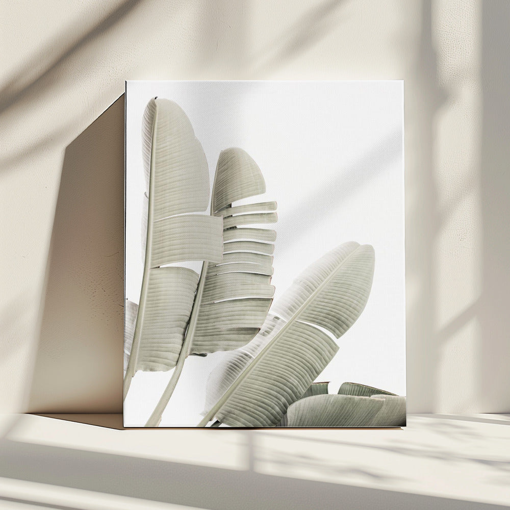 Bananenblad 2 | Canvas