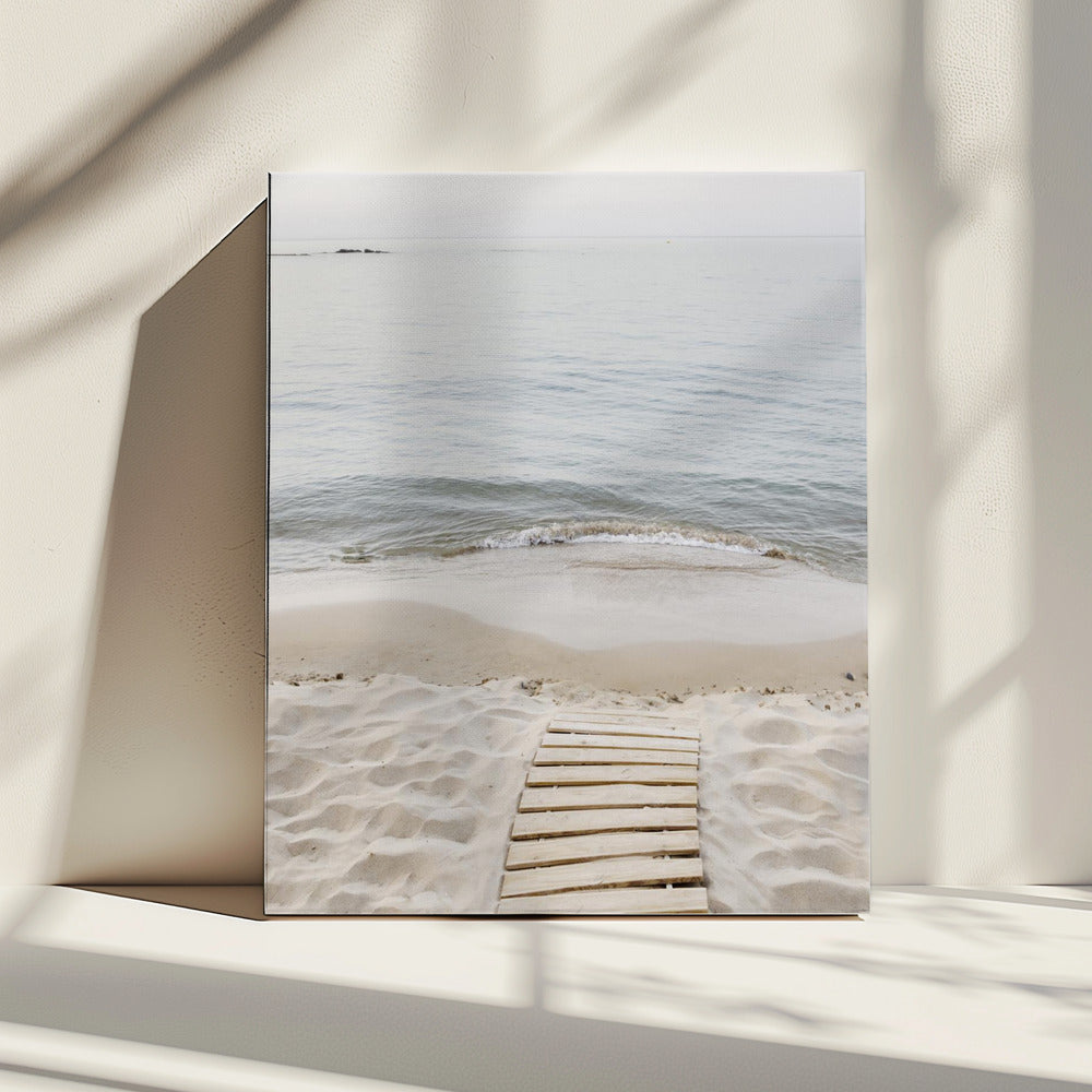 Naar de zee | Canvas