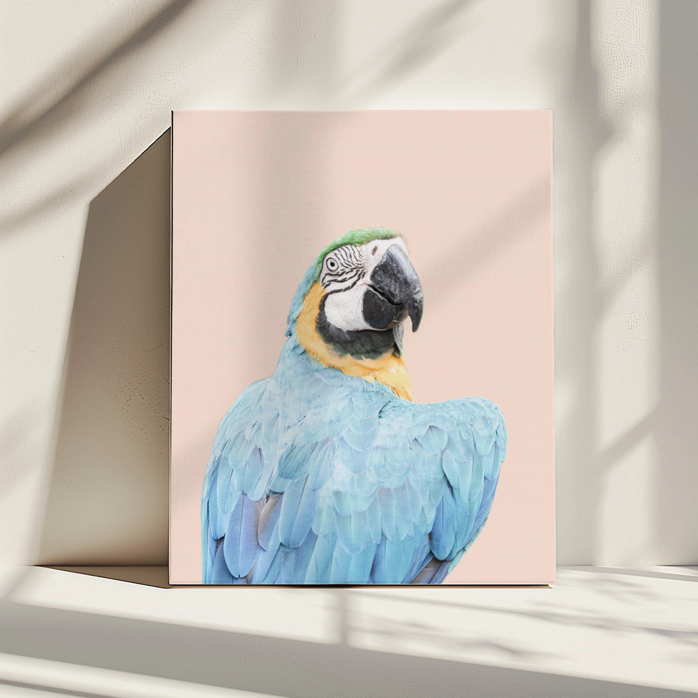 Blauwe Ara | Canvas