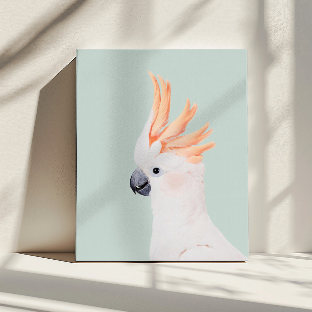 Kaketoe op Mint | Canvas