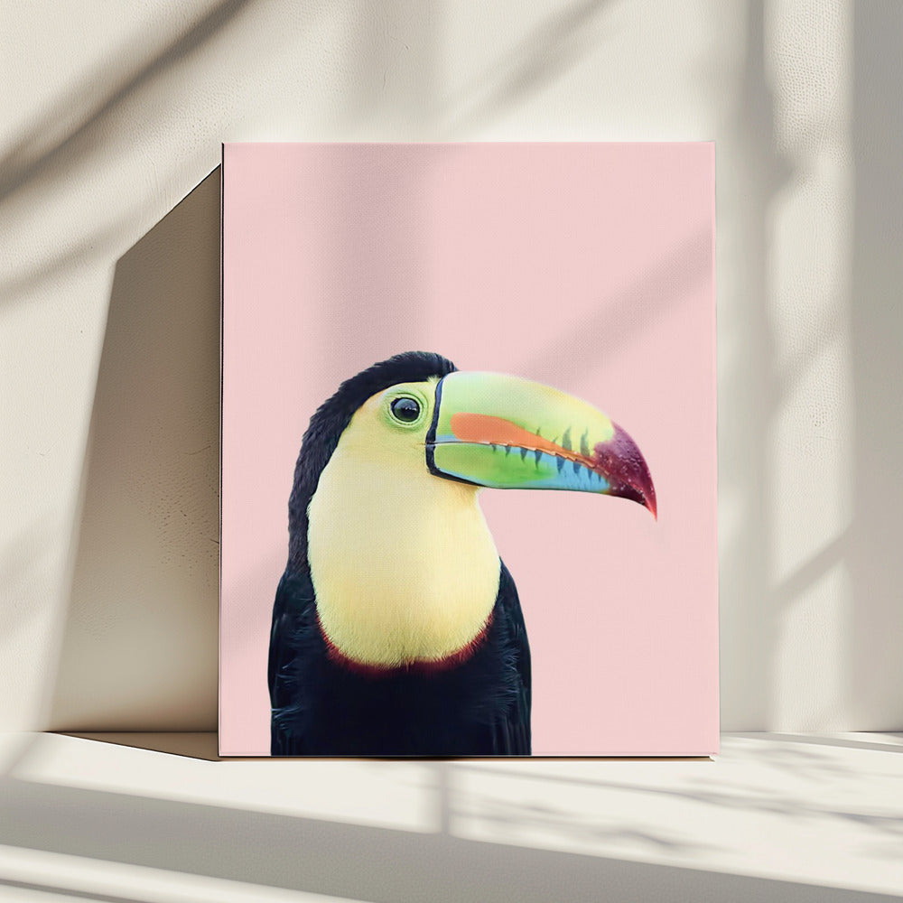Toekan op roze | Canvas