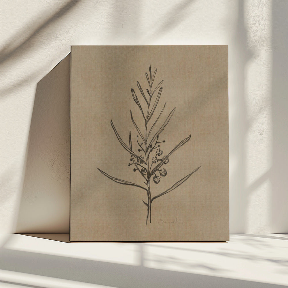 Zwarte boom | Canvas
