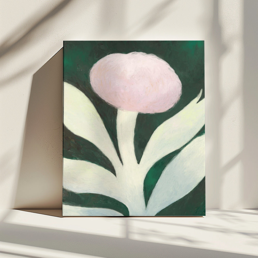 Maanbloem | Canvas