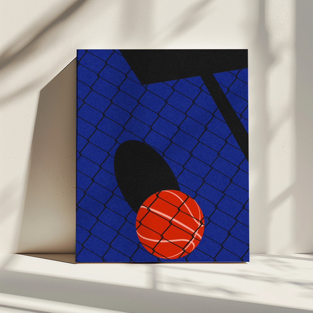 Basketbalveld Backjard | Canvas
