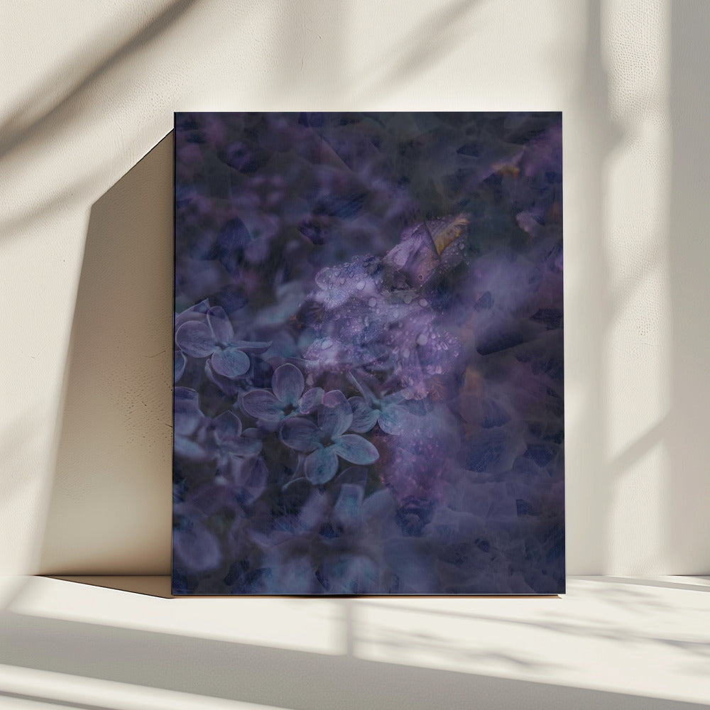 Lente #12.png | Canvas