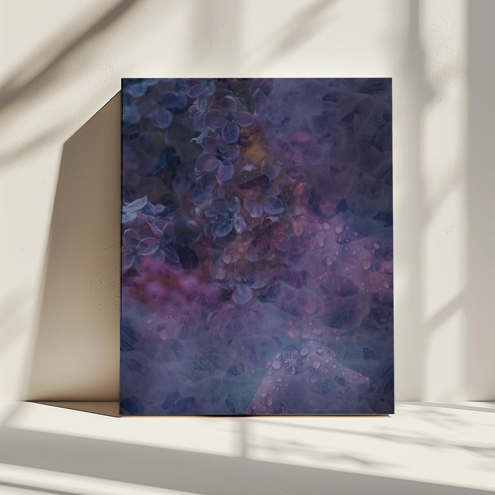 Lente #13.png | Canvas