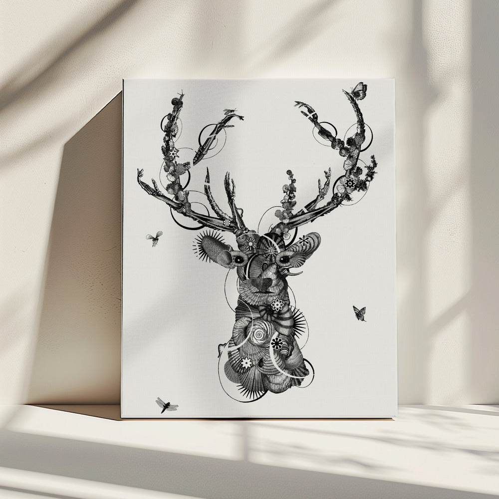 Hertenkop | Canvas