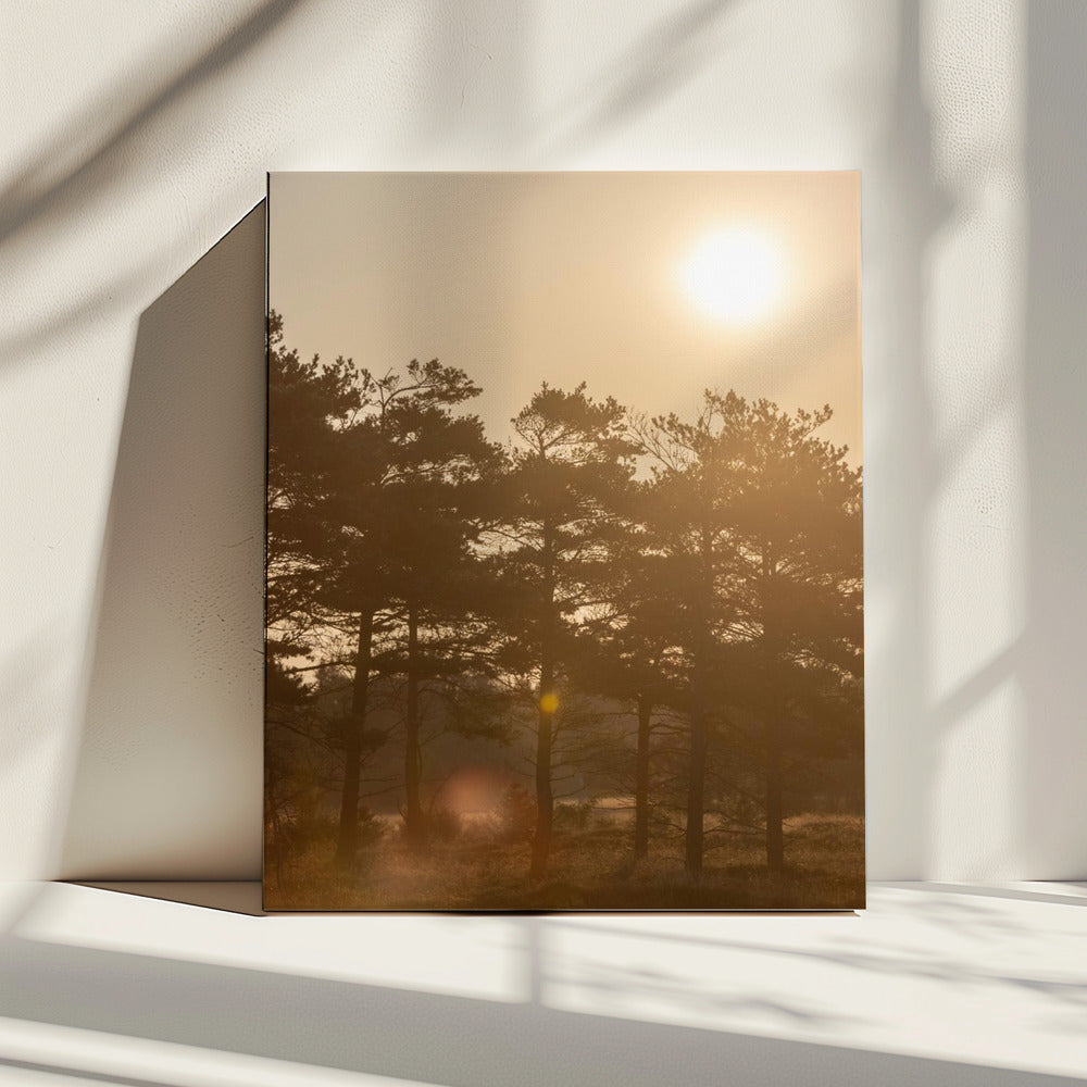 Een ochtendscène 5 | Canvas