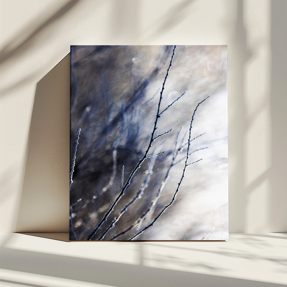 Een winterochtend 7 018a4832 | Canvas
