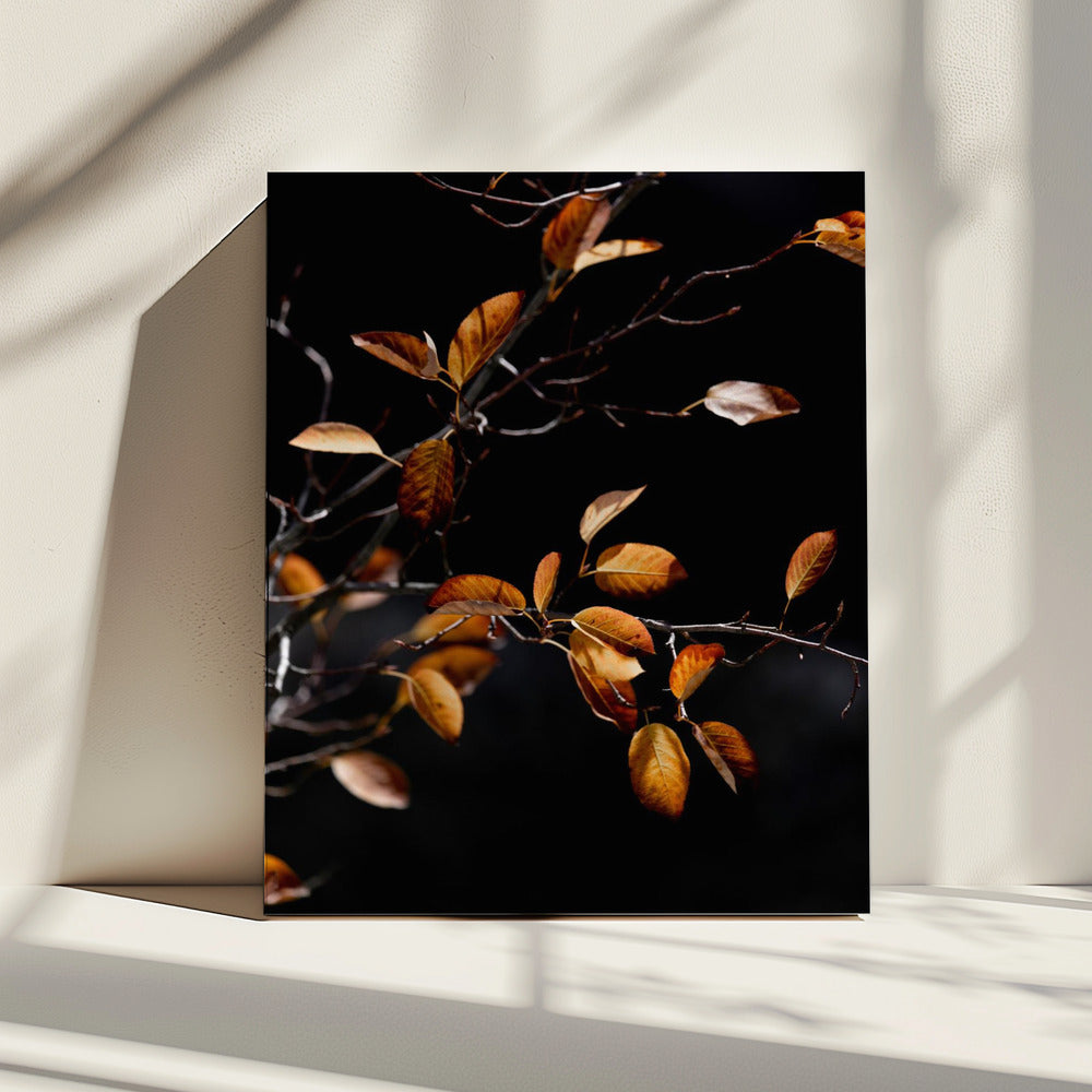 Herfstbladeren 15 | Canvas