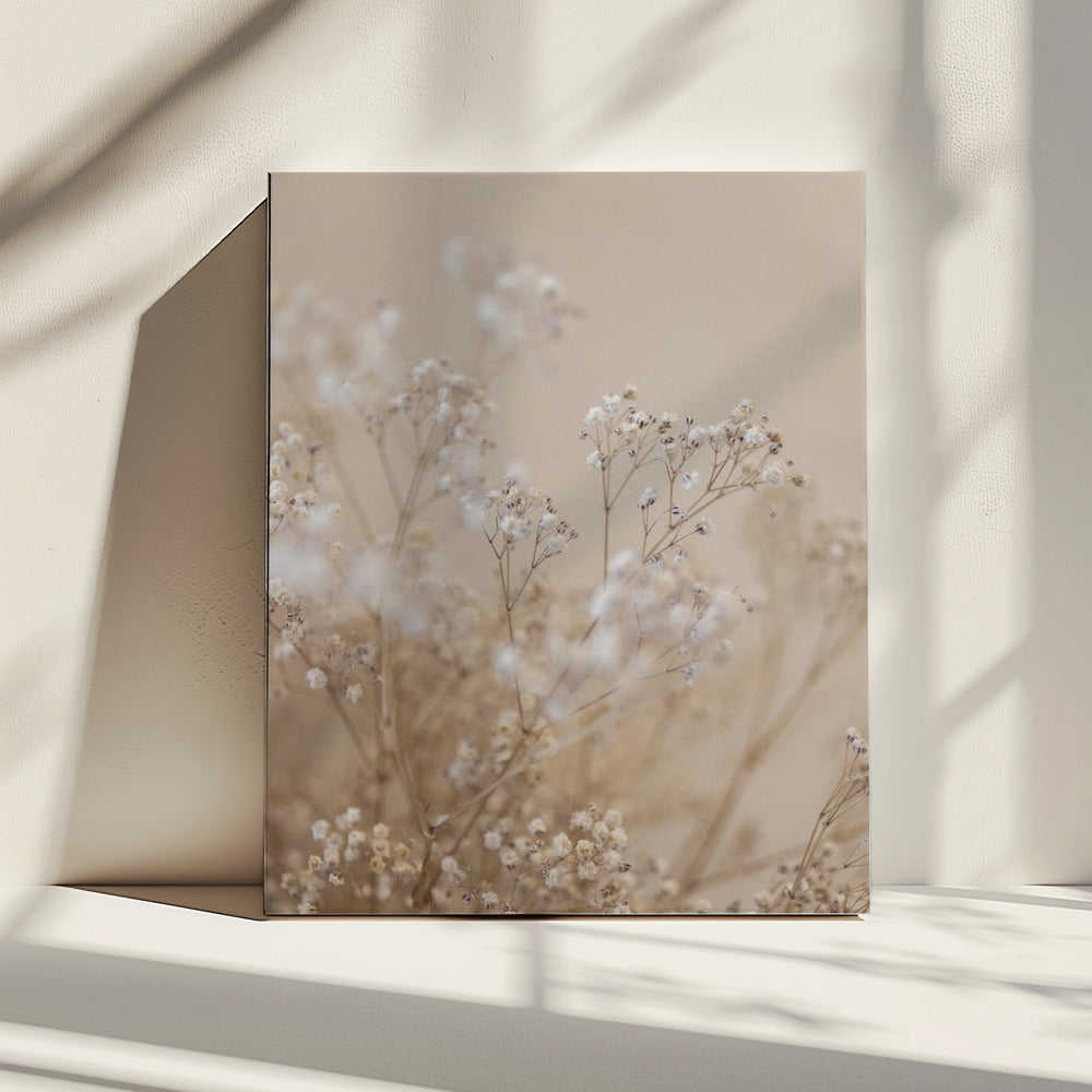 Baby's Adem 1 | Canvas