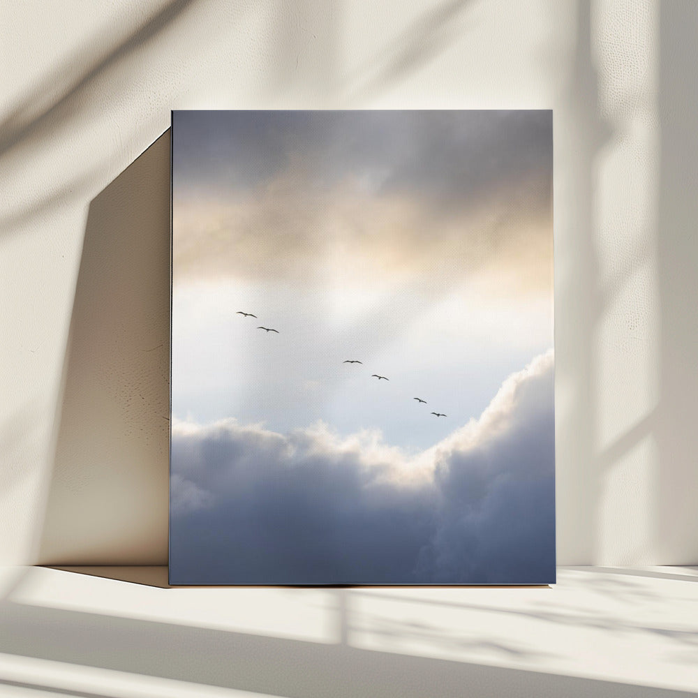 Vliegen Hoog 10 | Canvas
