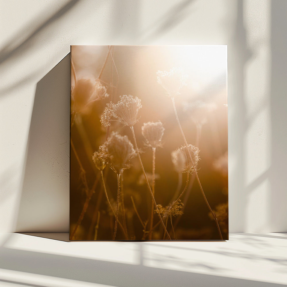 Gouden Uur 1 | Canvas