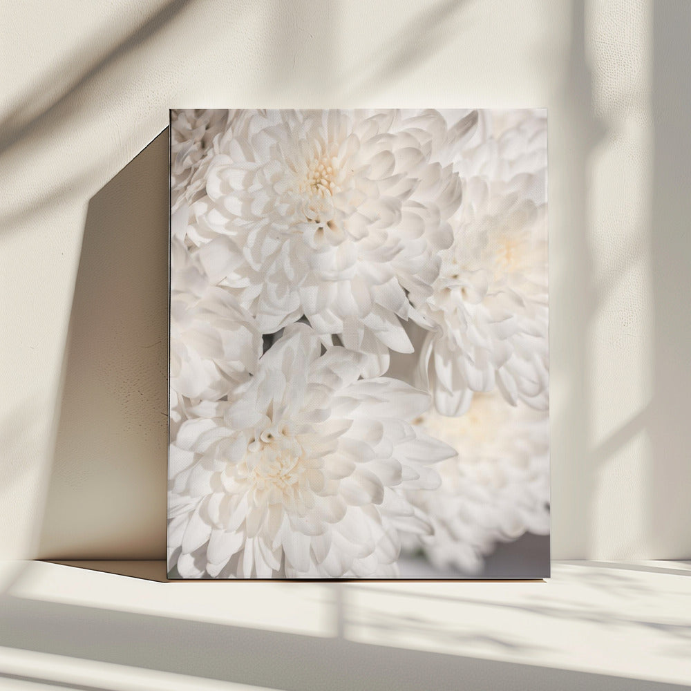 Witte bloemen 2 | Canvas