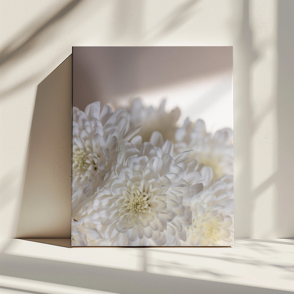 Witte bloemen 6 | Canvas