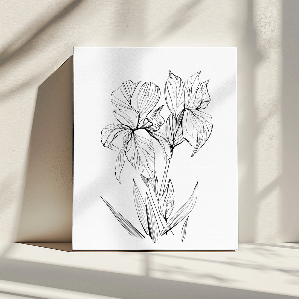 Irissen | Canvas