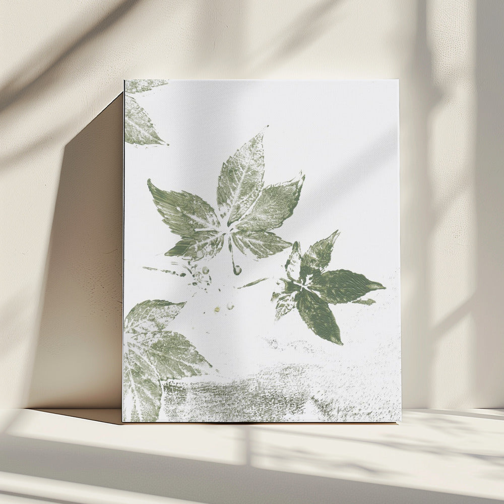 Bladerenii | Canvas
